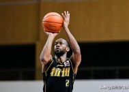 赛地聚焦：CBA季后赛转会期热度飙升，巴黎圣日耳曼调整名单，态度坚定，身体对抗强度拉满的简单介绍-英雄联盟S15赛